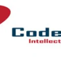 Codex-And-Co take services from Delloweb International provides digital services