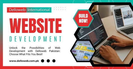 Infographic illustrating different types of web development in Pakistan by Delloweb, highlighting key technologies and methodologies used.
