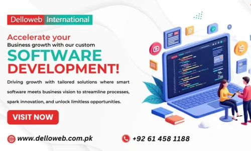Custom Software Development for Business Efficiency