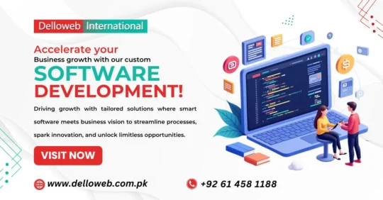 Promotional graphic for Delloweb International highlighting custom software development services to enhance business growth.